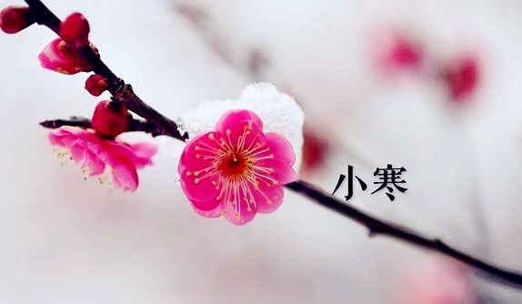 小寒.jpg