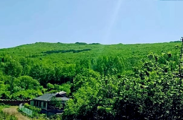 佟家老营的“山”_副本.jpg