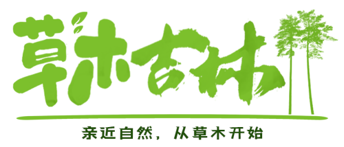 草木吉林 LOGO 1.png