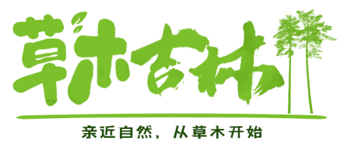 e689a80c187c2666e21a11037de0d16f_W020230607501590134369.png