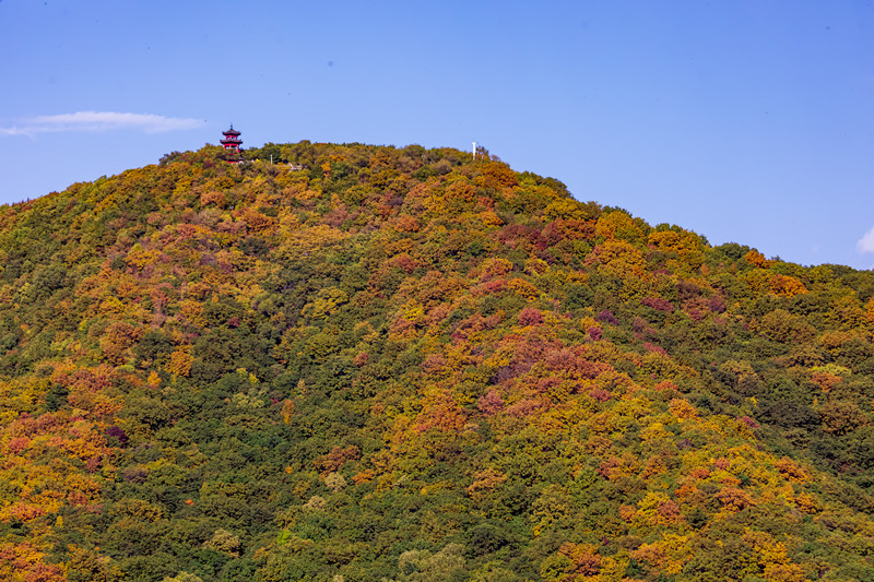 吉林市龙潭山_副本.jpg