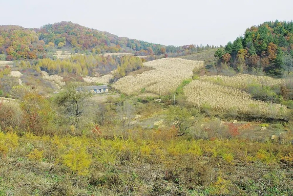 余富遗址生活区3.jpg