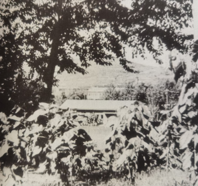 “北大营”建在山坡一片茂密的树林之中，其周边参天的古树将这里遮掩得极为隐秘  资料图片_副本.jpg