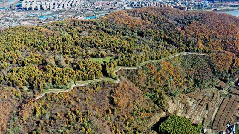 安山城 2_副本.jpg