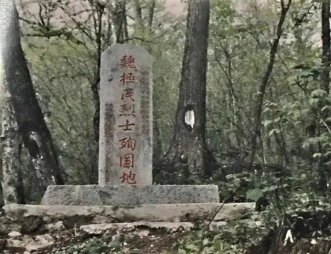 殉国地资料1.png