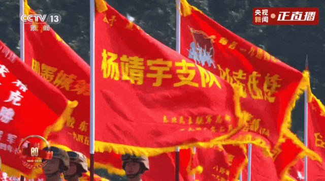 yangjingyuezidui.gif