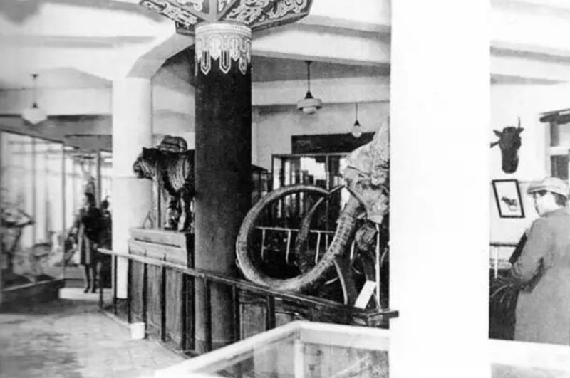 由于建筑原本为百货商店设计,因而改建成展厅后,显得捉襟见肘  资料图片_副本.jpg 由于建筑原本为百货商店设计,因而改建成展厅后,显得捉襟见肘  资料图片_副本.jpg