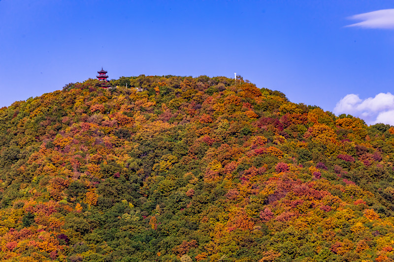 龙潭山3_副本.png 龙潭山3_副本.png