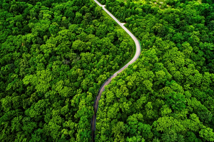 长白山林海.jpg 长白山林海.jpg