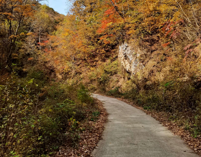 04_副本.png 04_副本.png