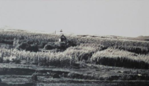 05_副本.jpg 05_副本.jpg