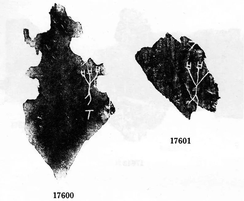 书籍中的甲骨文_副本.jpg 书籍中的甲骨文_副本.jpg