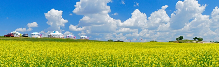 蒙古草原.jpg