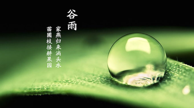 谷雨.jpg