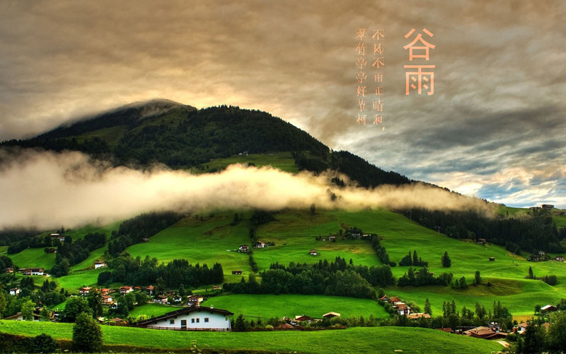 guyu_副本.jpg