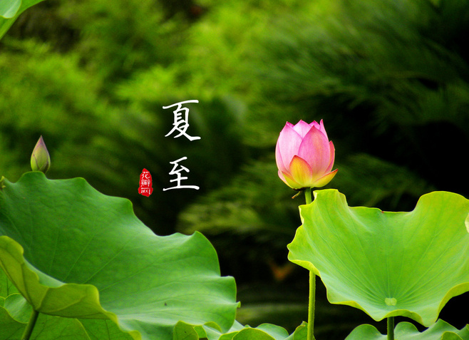 夏至.jpeg