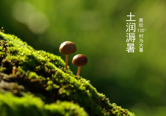 大暑  气候.png