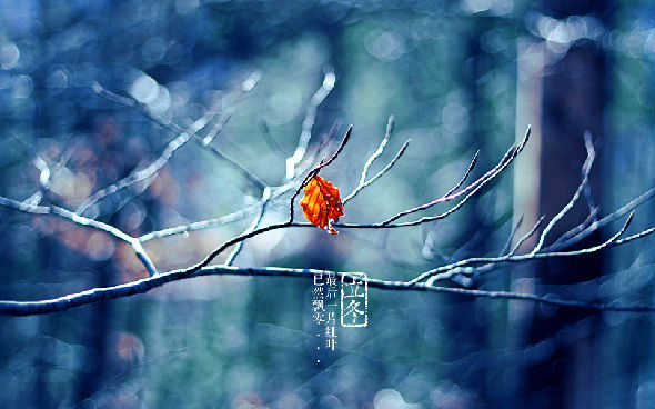 立冬 节气.jpg
