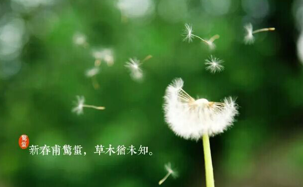 惊蛰诗词.png