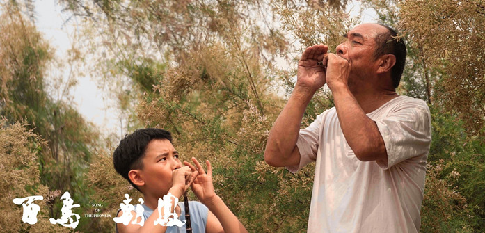 百鸟朝凤票房低迷主创不去拼票房