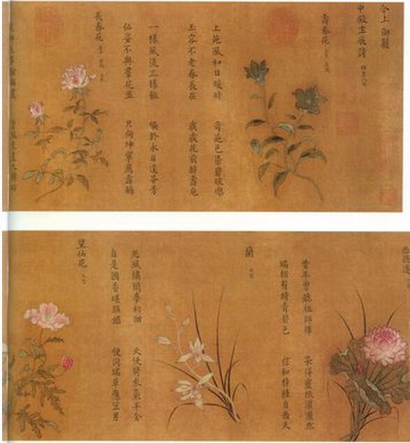 张伯驹捐献给省博物院的传世珍品——杨婕妤《百花图卷》(局部)(网络