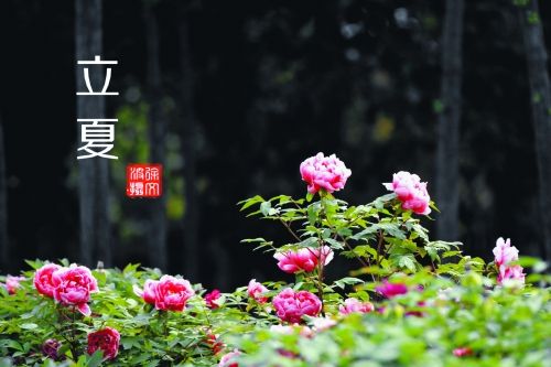 立夏.jpg