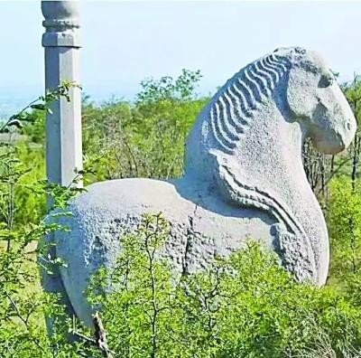 石陵石马.jpg