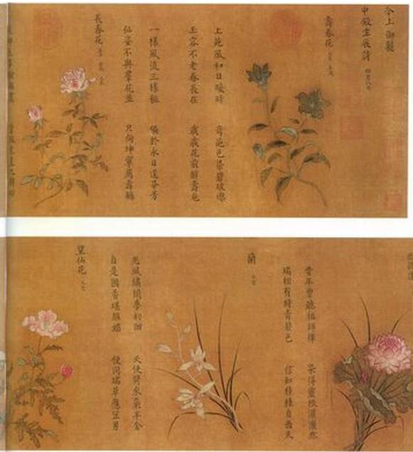 百花图.jpg