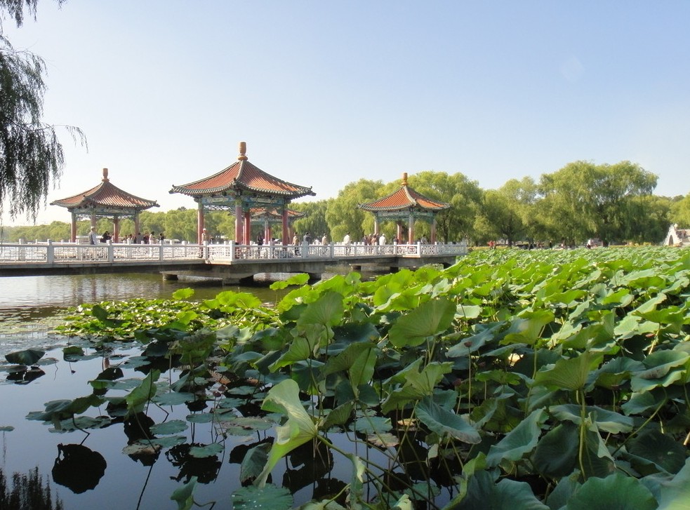 南湖公园.jpg
