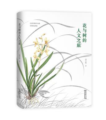 每朵玫瑰都需要一个故事