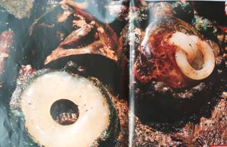 海昏侯墓再现中国古典家具的风采 海昏侯墓再现中国古典家具的风采