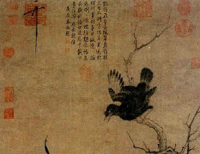 鹧鸪.jpg