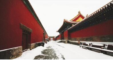 故宫里的工匠，修补了多少浮躁的人心