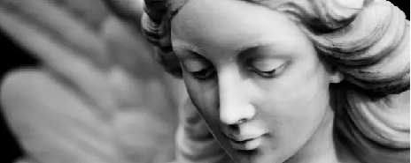 不如好好哭一场？莎士比亚与达尔文想得可不一样！