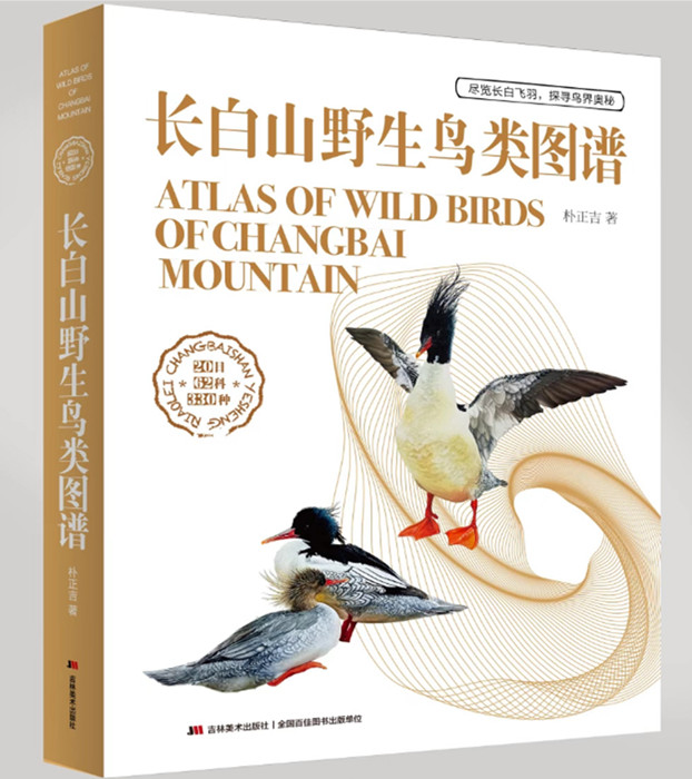 长白山野生鸟类图谱_副本.jpg