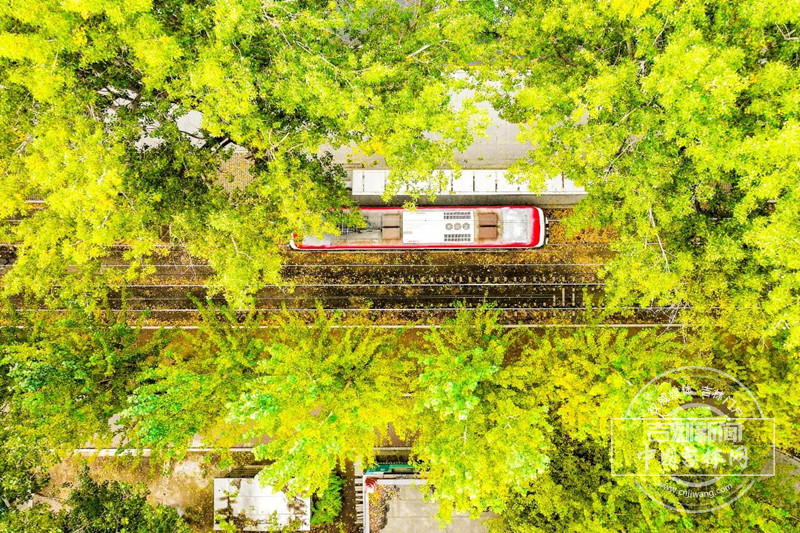 秋色1_副本.jpg 秋色1_副本.jpg