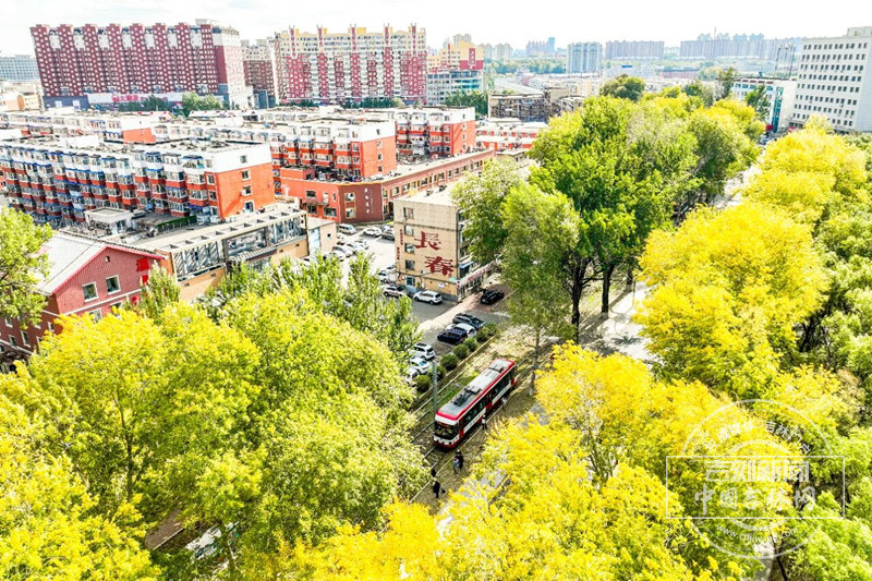 秋色2_副本.jpg 秋色2_副本.jpg